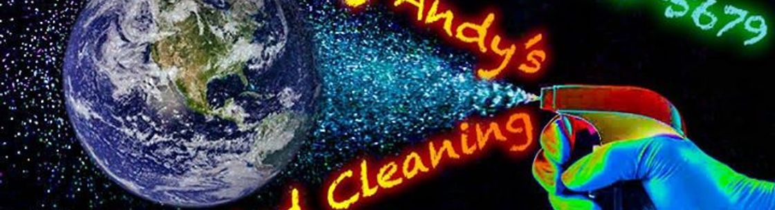 Handy Andys Detailed Cleaning, Angola NY