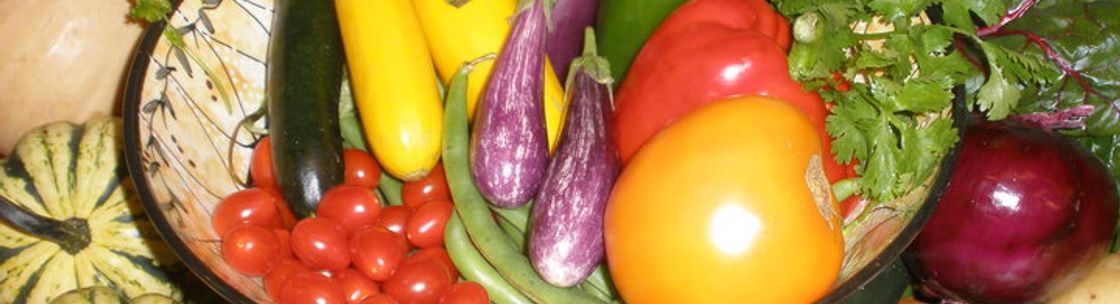 The Art of Health, Kimberton PA