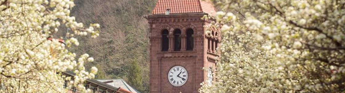 Times News - Lehighton Area - Alignable