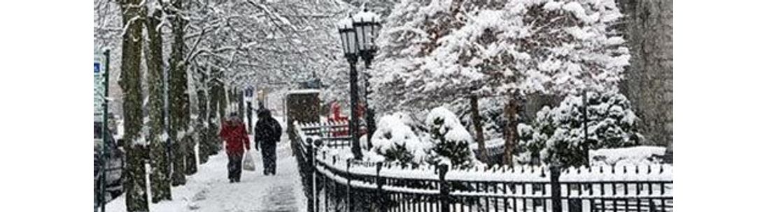 Realtor, Syracuse NY