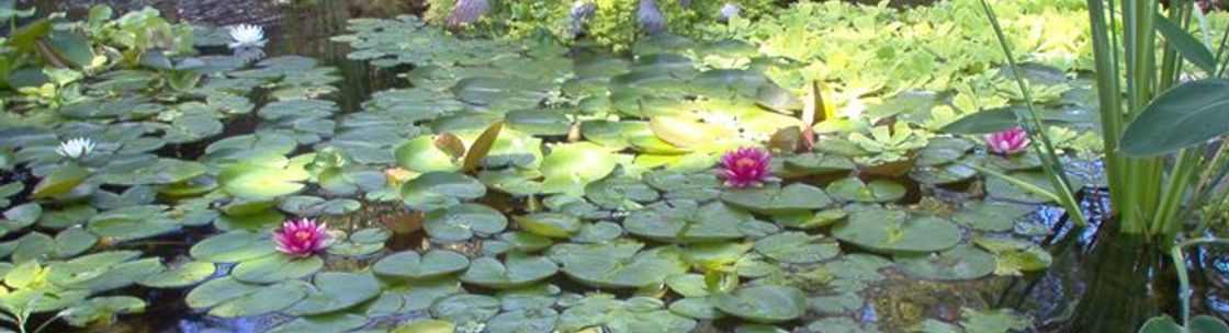 Artistic Design Garden Ponds, Lombard IL