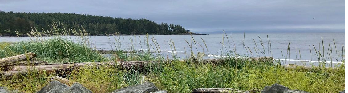 Darrell Pacini & Associates, Victoria BC