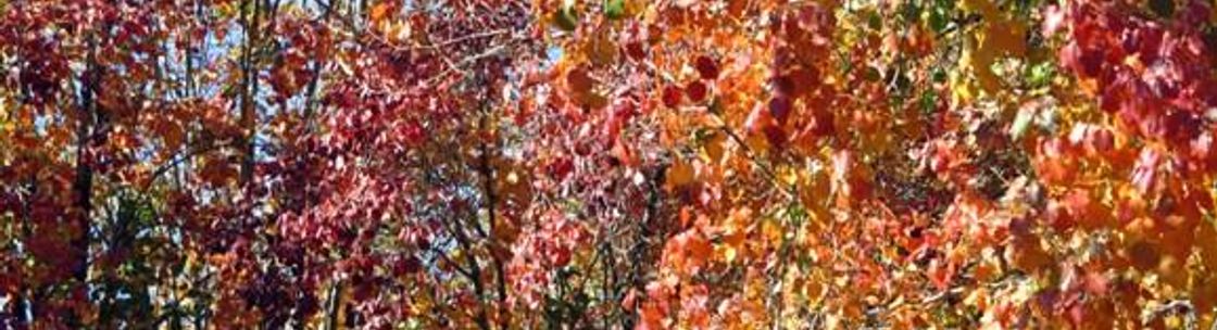 Caring Senior Service of El Paso, El Paso TX