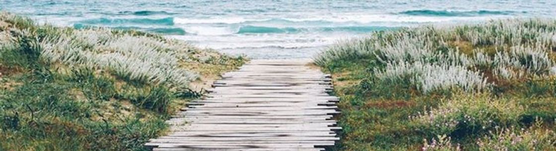 Dolphin Financial Group, Clearwater FL