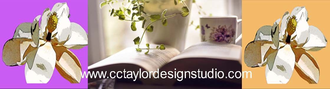 author, book cover design, and author promotions, Land O Lakes FL