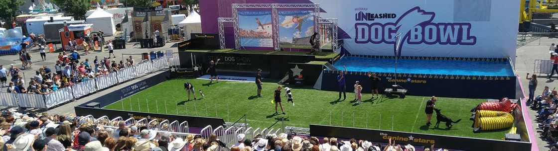 The Canine Stars Stunt Dog Show, Fort Collins CO