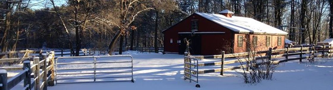 Harvard Alpaca Ranch, Harvard MA