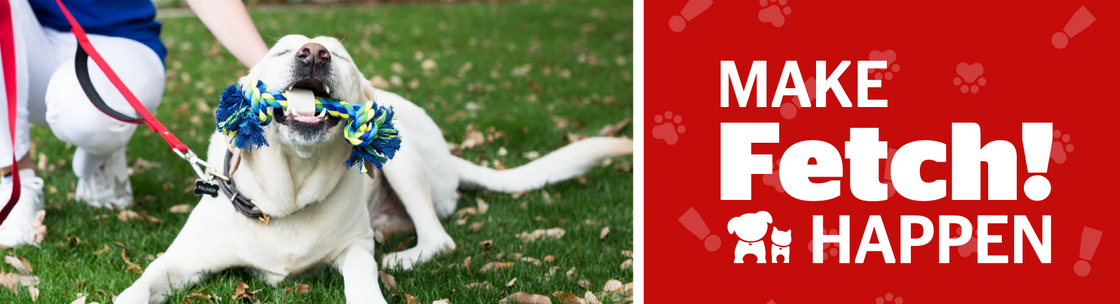 Fetch! Pet Care, Washington DC