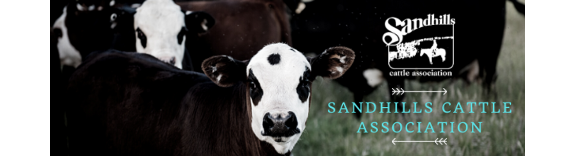 Sandhills Cattle Association, Valentine NE