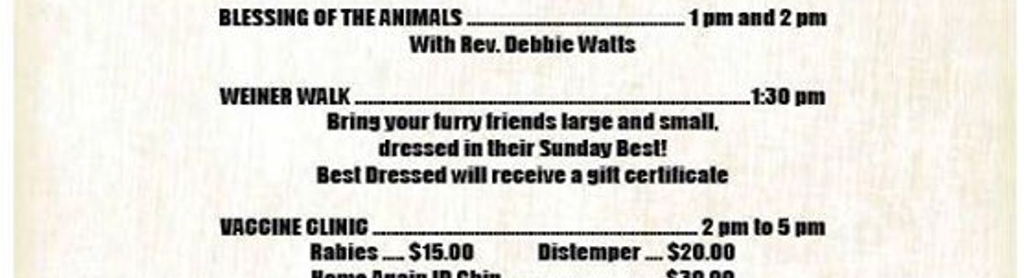 Creature Comforts Veterinary Service Saylorsburg Alignable