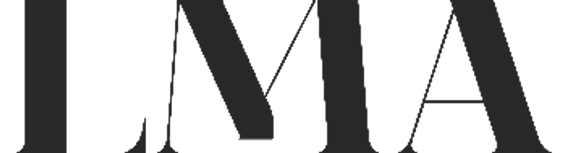 Lara Medicaid Advisors, Yonkers NY