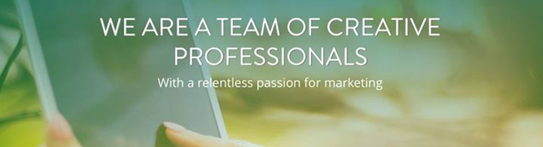 IVY Marketing Group, Glen Ellyn IL