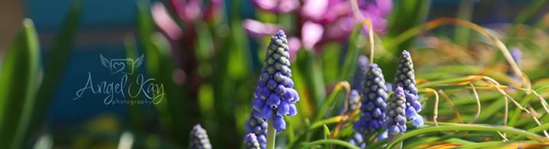 Angel Kay photography, Moundsville WV