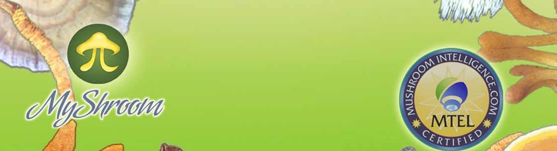 Myshroom, Carlsbad CA