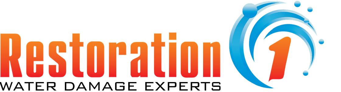 Tiana Feddeler - Restoration1 (Lockport IL), Lockport IL