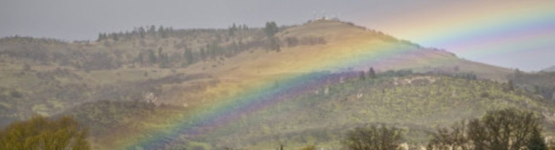 THRIVE & the Buy Local - Buy Rogue Campaign, Ashland OR