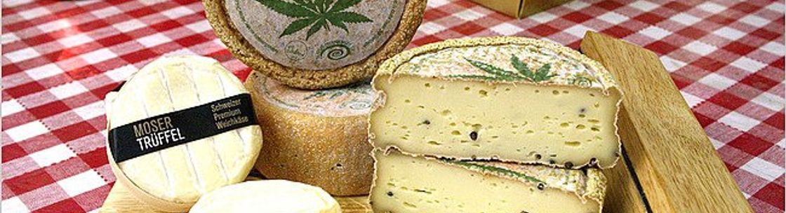 Ideal Cheese Shop, New York NY