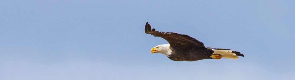 Raj Patnaik, Joplin MO