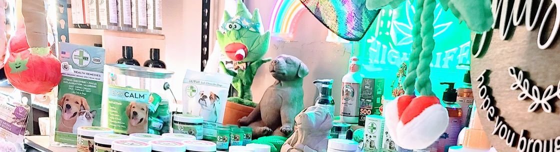 The Lucky Pupp, Syracuse NY