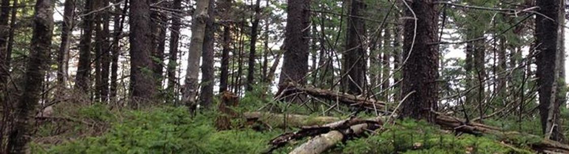 Upstate Adventure Guides, Kingston NY