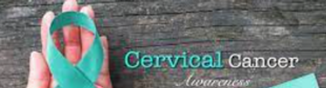 eMED PHARMACY corp , Secaucus NJ