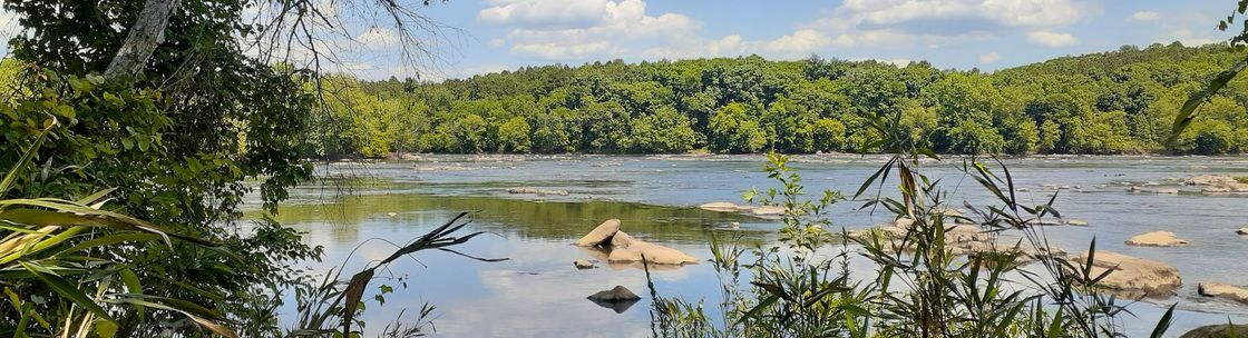 Flowing River Qigong, Tai Chi, and Yoga, Waxhaw NC