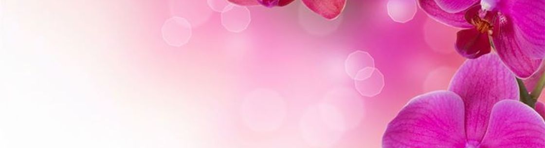 Purple Rose Florist, Mount Prospect IL