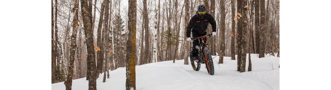 Ardent Bicycles, Grand Rapids MN