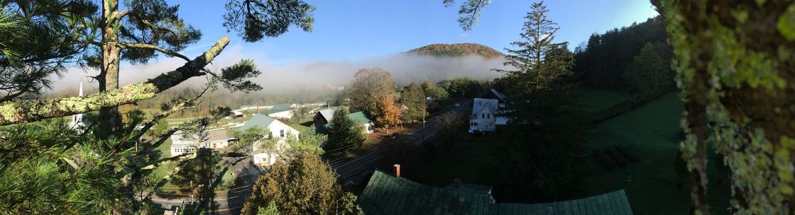Vermont Tree Company, LLC, Tunbridge VT