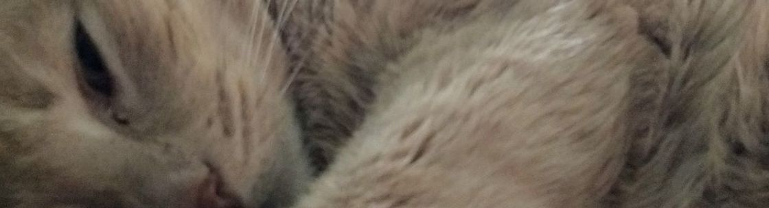 Your Pet's Companion, Gorham ME
