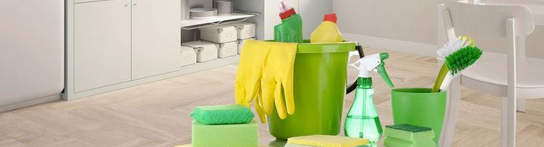 Zebra Cleaning Company, Coquitlam BC