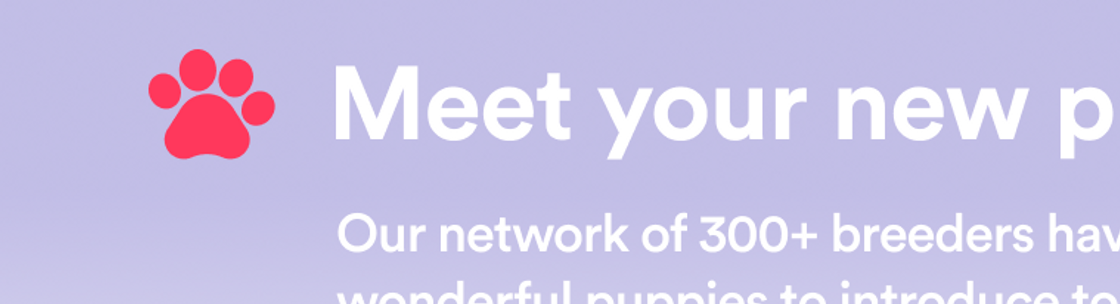 18 Adopt A Pet Richmond Hill Background