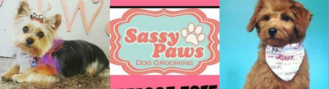 sassy paws pet salon