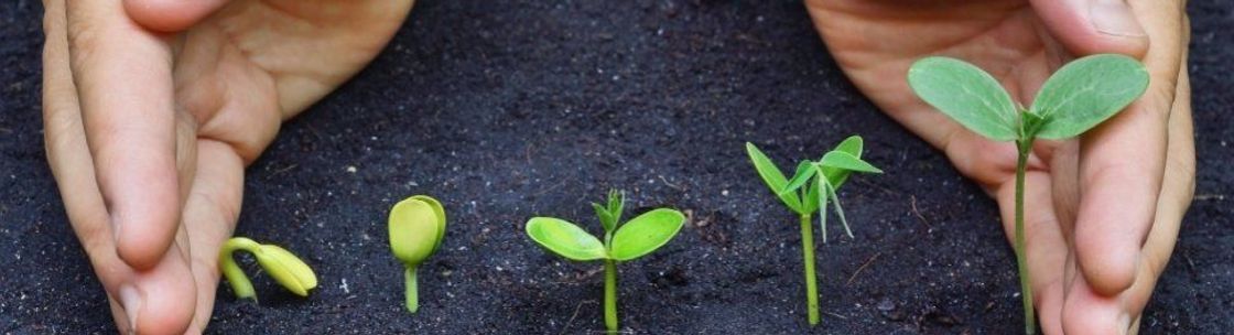 Chez Morrow International LLC, Kaneohe HI