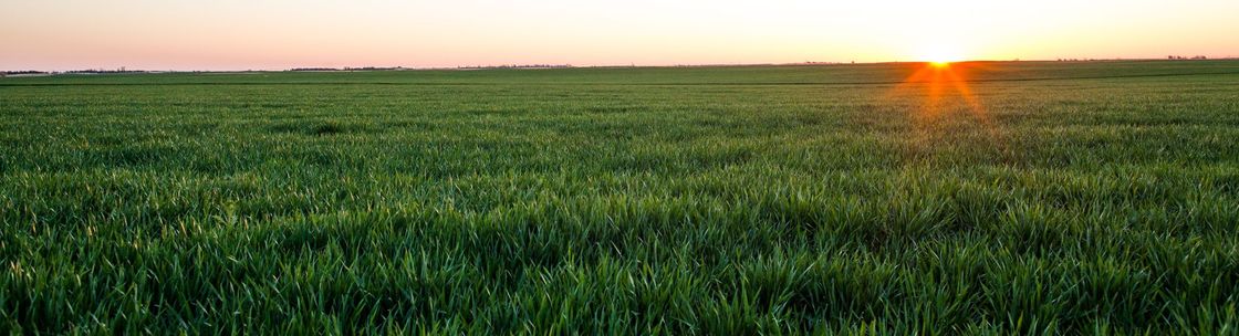 US Greens, Bonner Springs KS