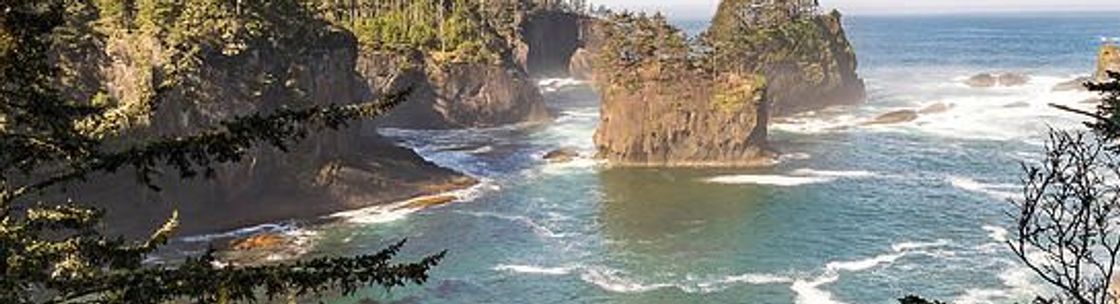 Apex Cleaning Services , Auburn WA