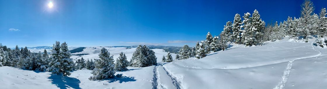 Goosehead Insurance-Kyle Brown, Helena MT