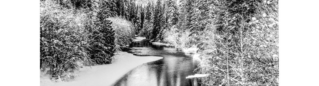 Ronin Digital Image Services, Victoria BC
