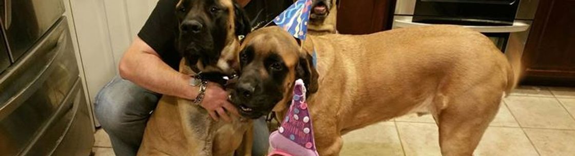 Show 'EM The Way Training and Pet Services LLC, Gilbert AZ