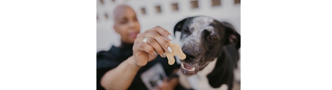 WoofCat | Pet Co. , Little Rock AR