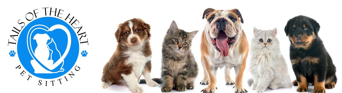 Tails of the Heart Pet Sitting Services LLC, Colerain Township OH