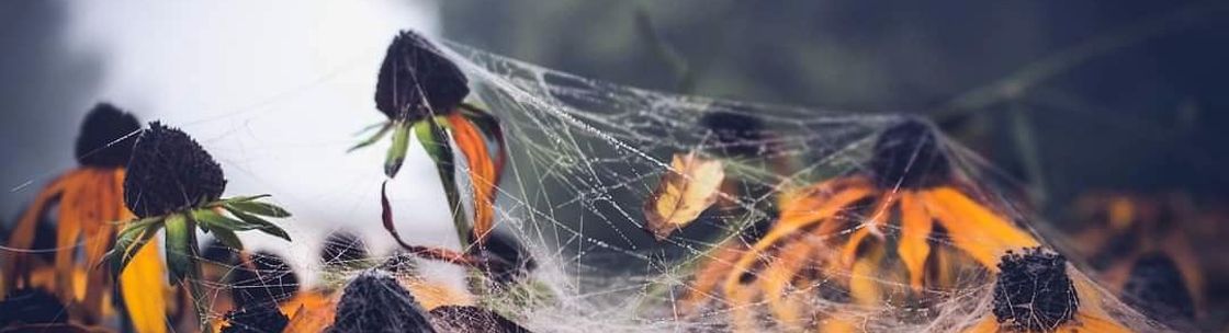 Worth and Dignity Photography, Clay NY