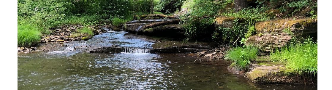 Julie Szur Fly Fishing