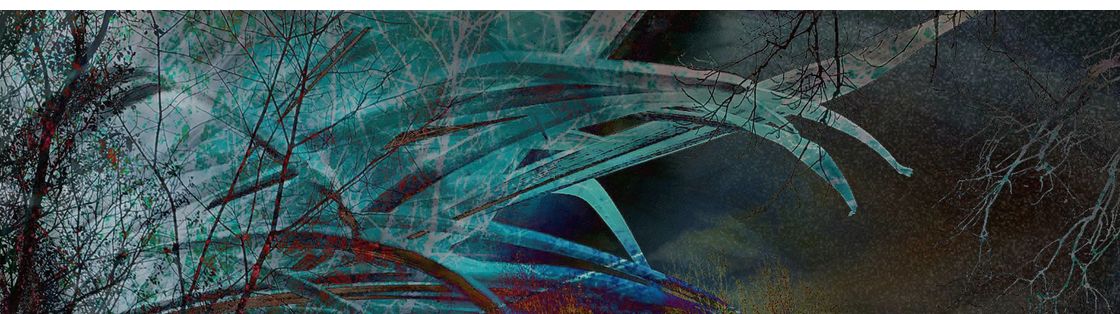 Candy Kuehn Studio, Minneapolis MN