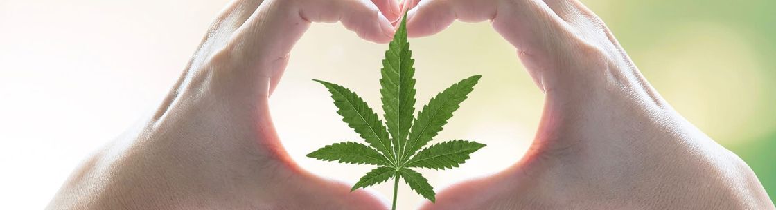 CannaVerse Essentials Portfolio Includes:  Erth Wellness; CBD BioCare; & Cannaglobe, Noblesville IN
