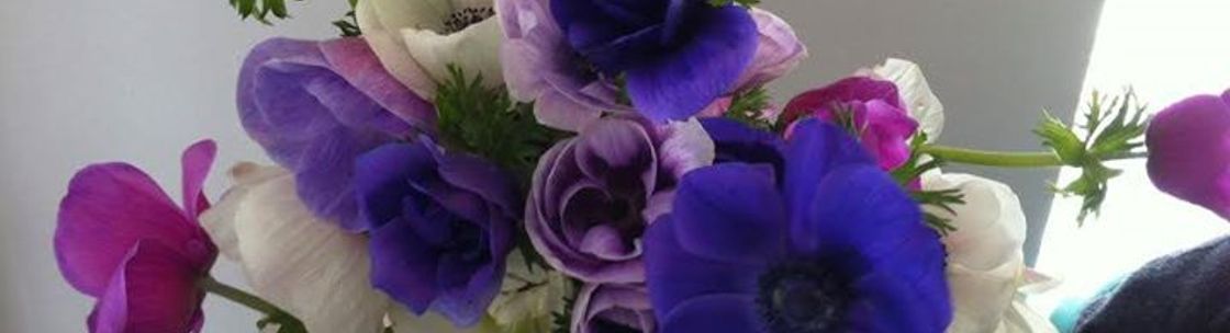 Yuri Hana Flower Farm, Conway SC