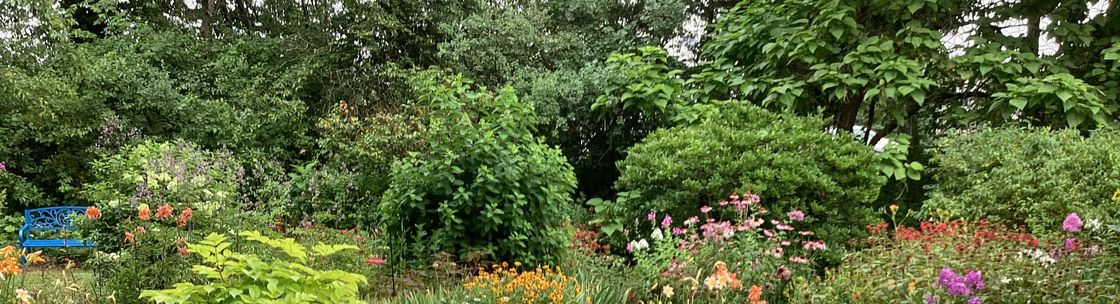 reginawittosch.com, Warwick NY