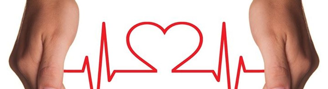 Safe Haven Home Care, Brooklyn NY