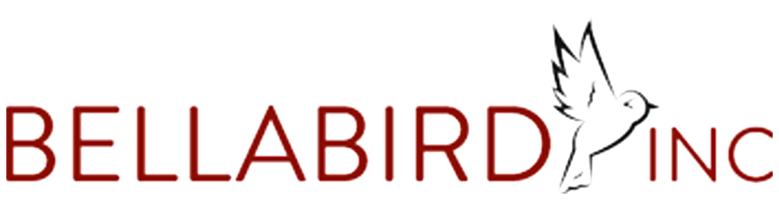 Melinda Anderson - Bellabird Consulting, Blue Springs MO