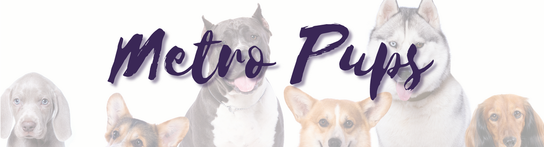Metro Pups, Ossining NY